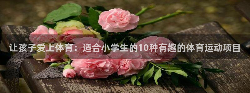 vsport体育官网下载招商：让孩子爱上体育：适合小