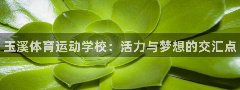 vsport体育官网下载平台假的吗是真的吗：玉溪体育