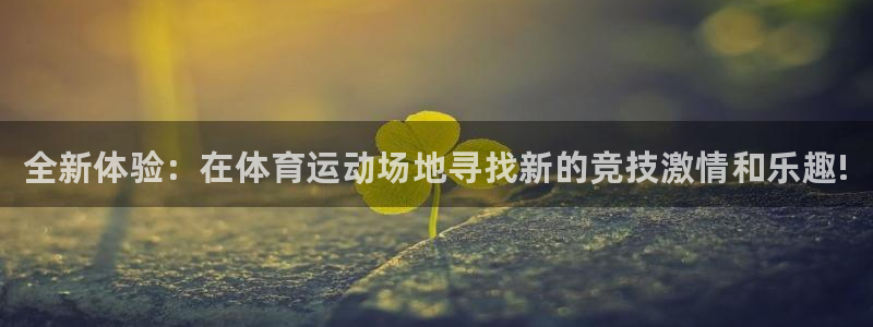 vsport体育官网下载软件：全新体验：在体育运动场