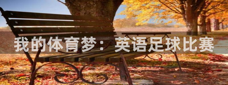 vsport体育官网下载娱乐：我的体育梦：英语足球比