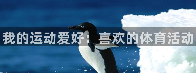 vsport体育官方正版app集团官网首页网址：我的