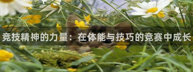 vsport体育官方正版app集团官网首页网址：竞技