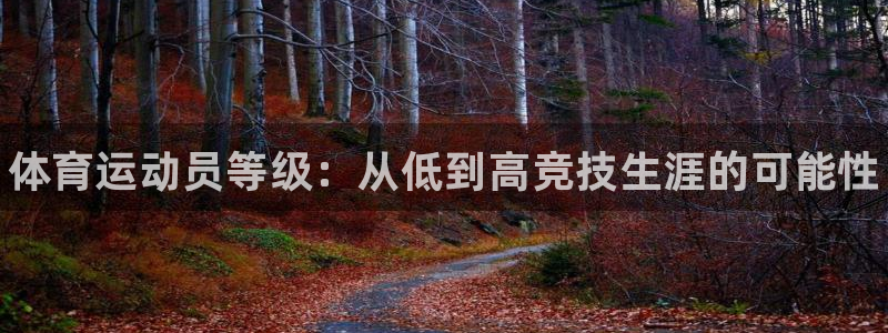 vsport体育官方正版app娱乐平台：体育运动员等