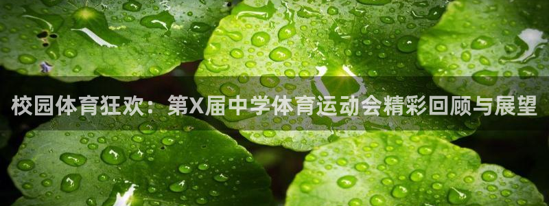 vsport体育官网下载平台是正规平台吗安全吗：校园体育狂欢
