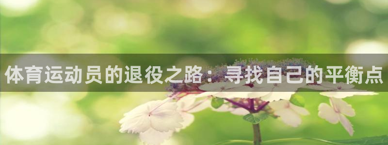 vsport体育官方正版app娱乐下载：体育运动员的退役之路