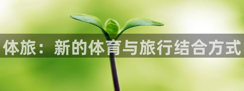 vsport体育官方正版app集团：体旅：新的体育与旅行结合
