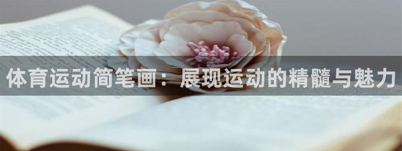 vsport体育官网下载招商电话是多少：体育运动简笔画：展现