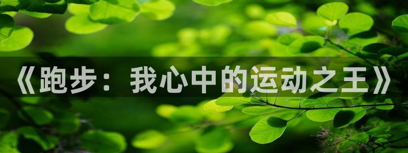 vsport体育官网下载是干嘛的公司：《跑步：我心中的运动之