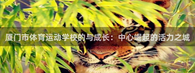 vsport体育官网下载软件