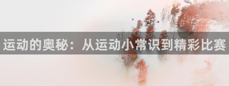 vsport体育官网下载平台APP：运动的奥秘：从运动小常识