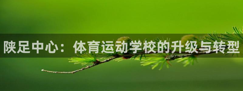 注册vsport体育官方正版app：陕足中心：体育运动学校的