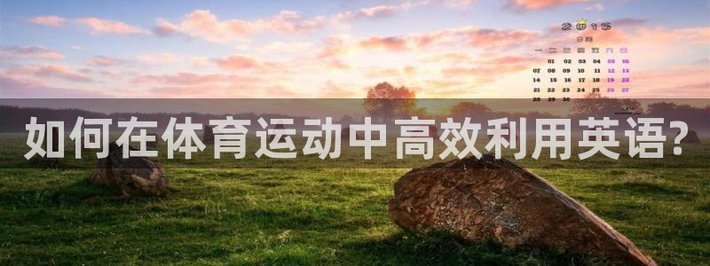vsport体育官网下载开户：如何在体育运动中高效利