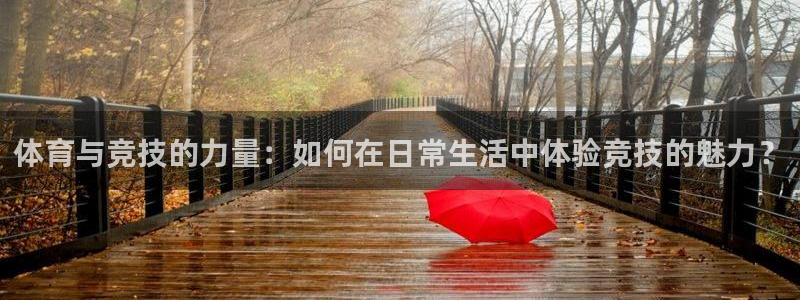 vsport体育官方正版app官方：体育与竞技的力量