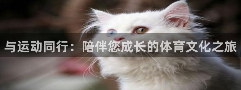 vsport体育官方正版app集团E.ON：与运动同行：陪伴