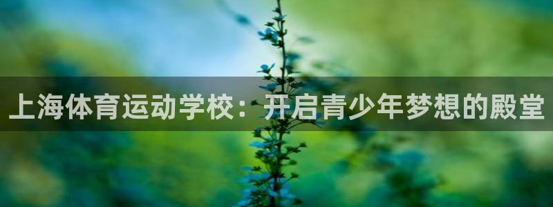 vsport体育官网下载平台：上海体育运动学校：开启青少年梦