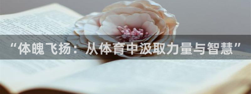 vsport体育官网下载平台注册流程视频：“体魄飞扬：从体育
