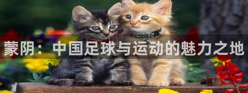 vsport体育官网下载平台注册要钱吗安全吗：蒙阴：