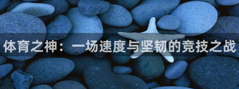 vsport体育官网下载招商电话是多少啊