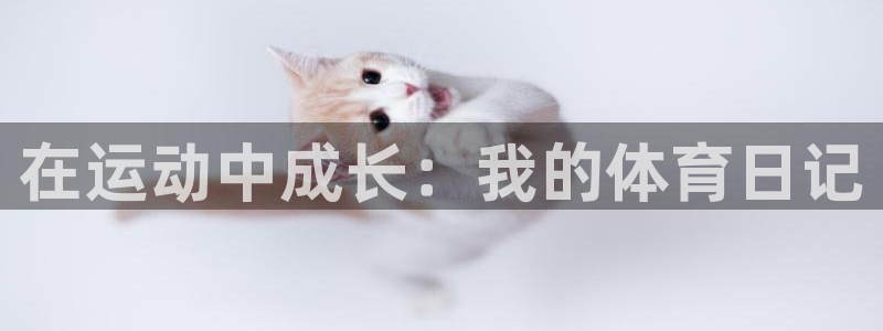 vsport体育官方正版app代理：在运动中成长：我的体育日