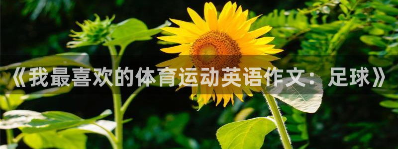 vsport体育官网下载平台：《我最喜欢的体育运动英语作文：