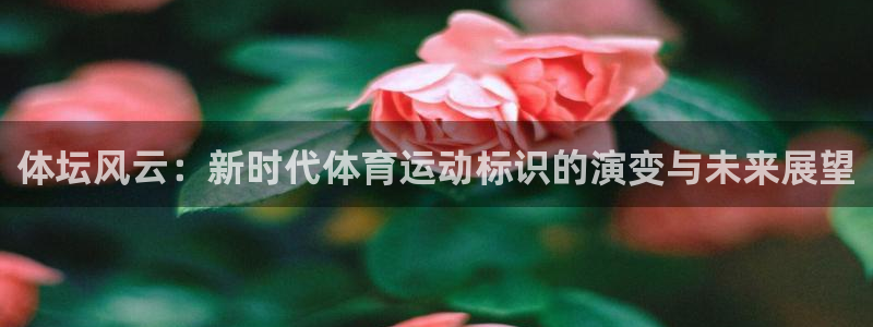 vsport体育官网下载平台注册要钱吗是真的吗：体坛风云：新