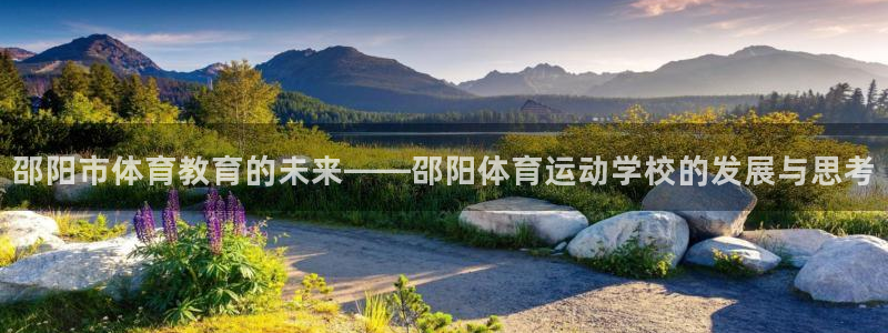 vsport体育官网下载平台是正规平台吗安全吗