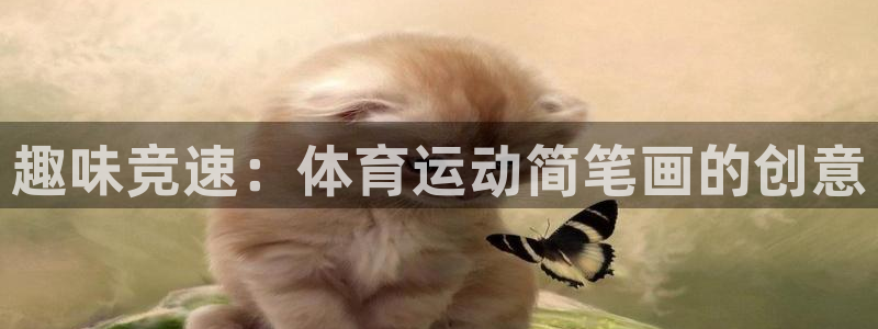 vsport体育官网下载招商电话号码是多少：趣味竞速