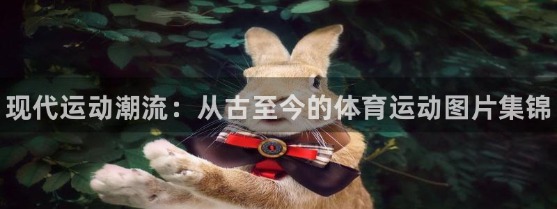 vsport体育官网下载平台假的吗是真的吗：现代运动潮流：从