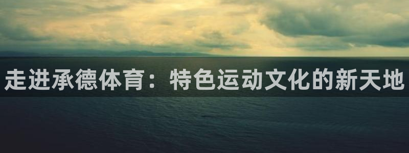 vsport体育官网下载平台注册流程图：走进承德体育：特色运