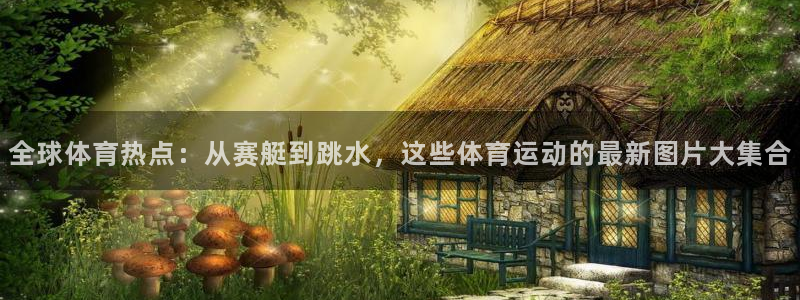 vsport体育官方正版app五金厂：全球体育热点：从赛艇到