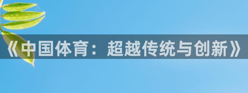vsport体育官方集团官网：《中国体育：超越传统与创新》