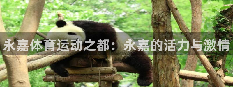 vsport体育官方正版app娱乐首页网站大全：永嘉体育运动