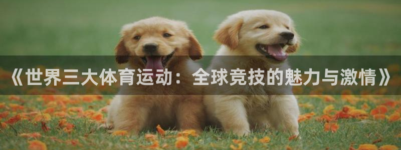 vsport体育官网下载平台注册流程视频：《世界三大体育运动