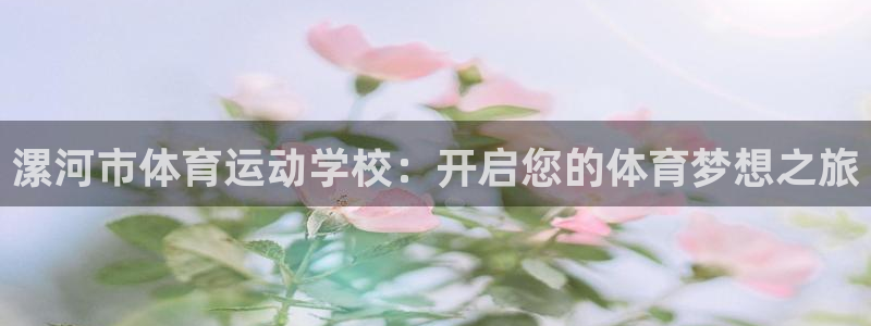 vsport体育官方正版app新能源：漯河市体育运动学校：开