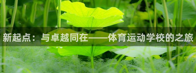 vsport体育官方正版app集团官网首页：新起点：