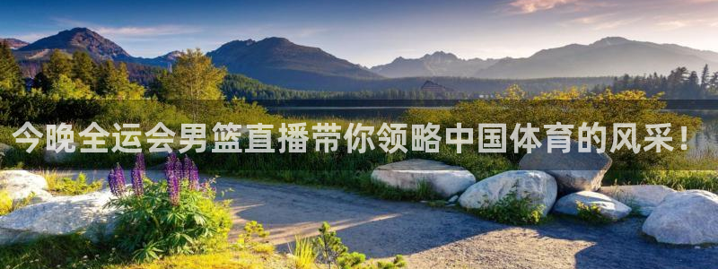 9255tv直播无插件nba：今晚全运会男篮直播带你领略中国体育的风采！