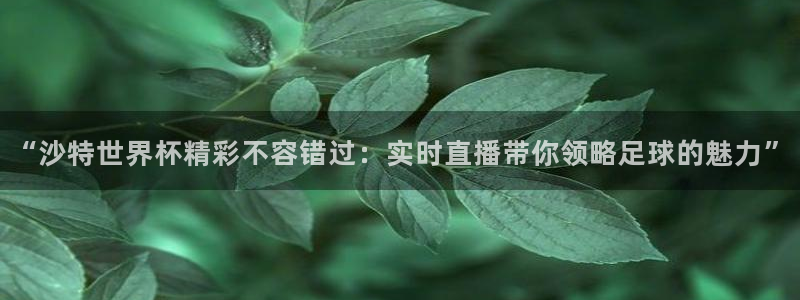 9255tv直播nba在线观看：“沙特世界杯精彩不容错过：实时直播带你领略足球的魅力”