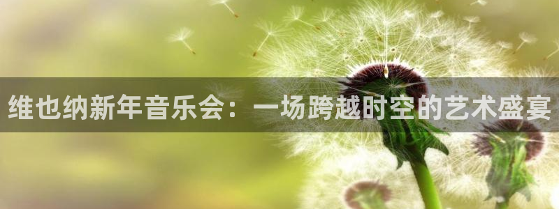 9255tv直播无插件nba：维也纳新年音乐会：一场跨越时空的艺术盛宴