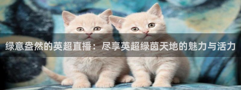 9255tv直播nba在线直播：绿意盎然的英超直播：尽享英超绿茵天地的魅力与活力