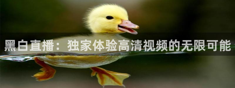 9255tv直播nba在线观看：黑白直播：独家体验高清视频的无限可能