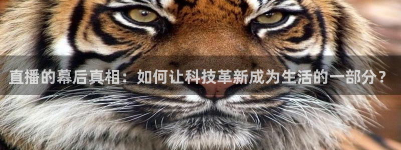 9255tv直播nba在线观看：直播的幕后真相：如何让科技革新成为生活的一部分？